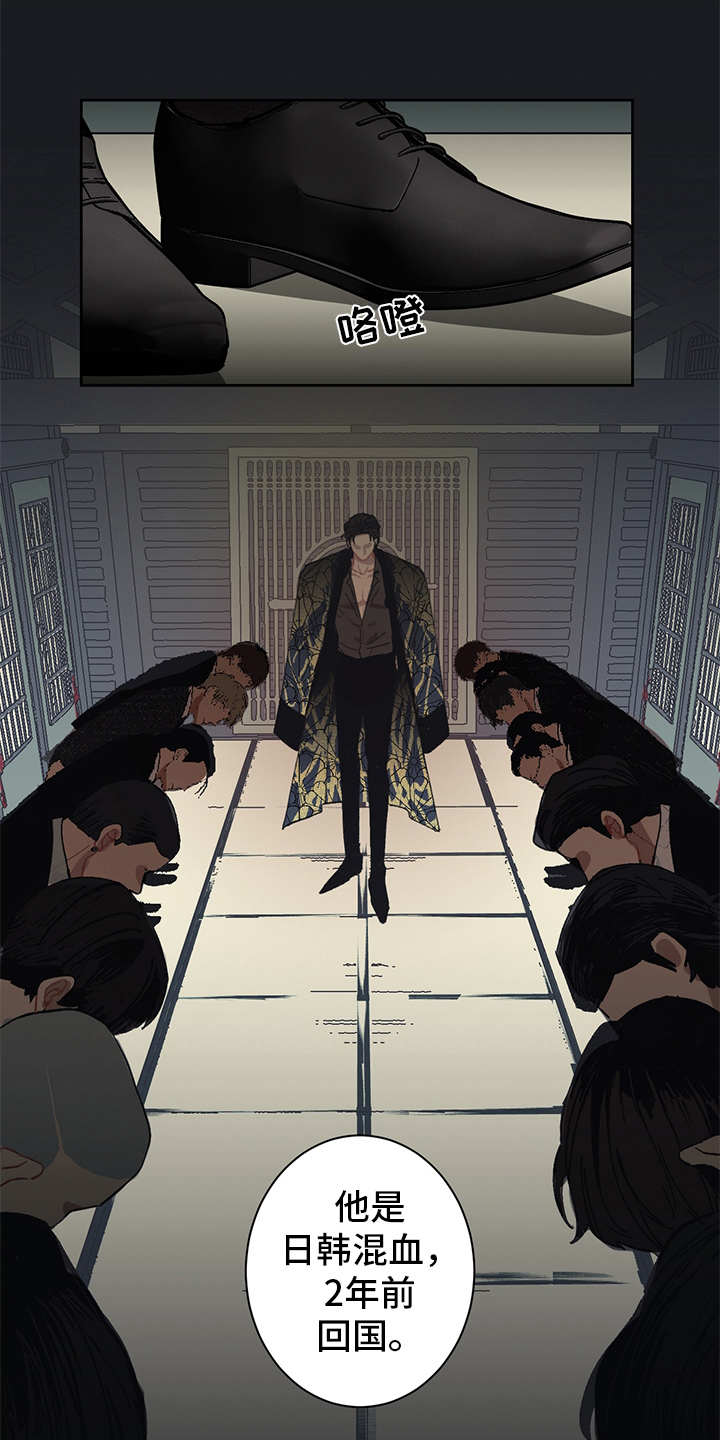 惹祸精by二蛋免费阅读漫画,第6章：背后势力4图