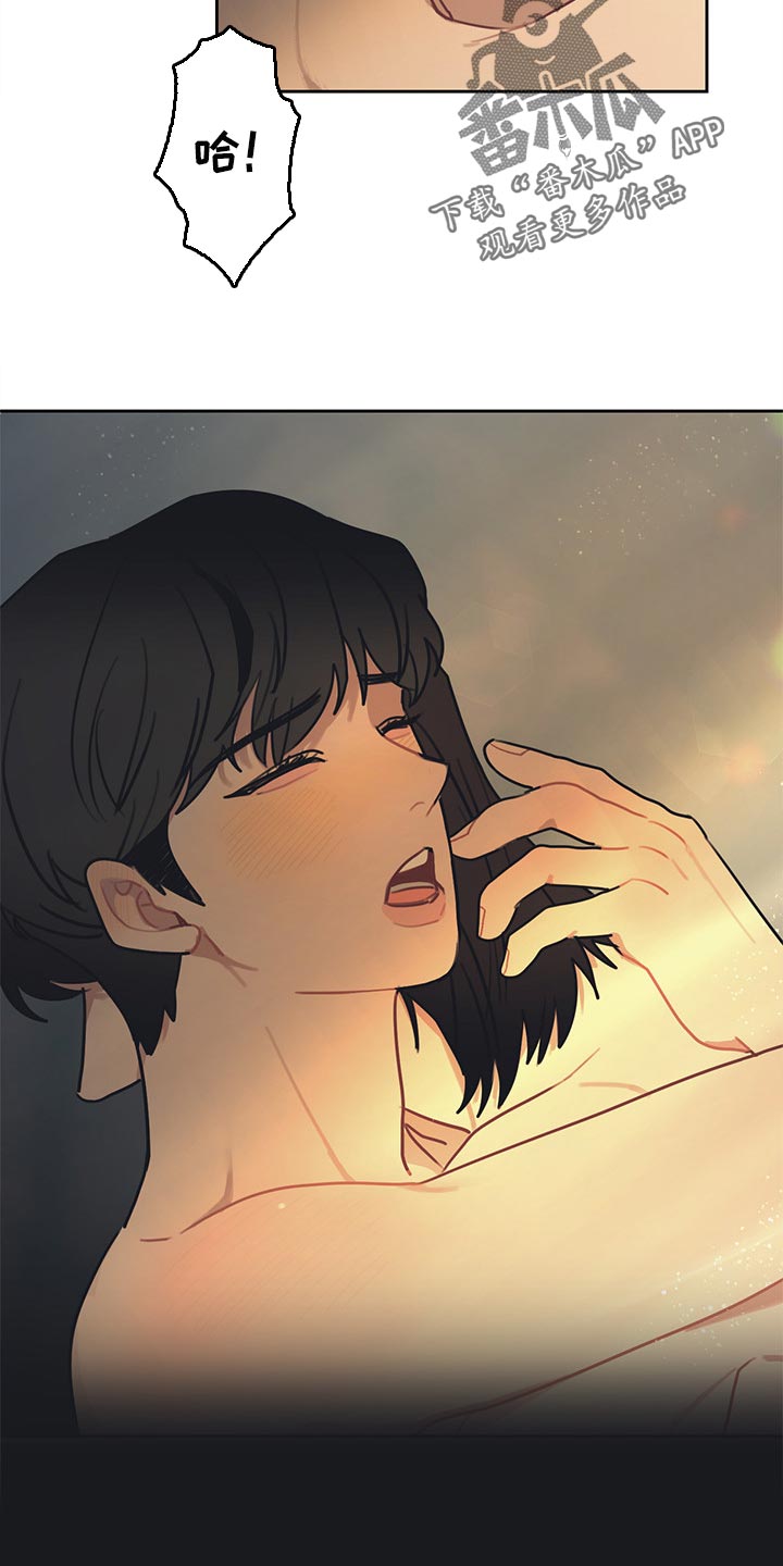 惹她干嘛全集免费看漫画,第80章：将军（完结）4图