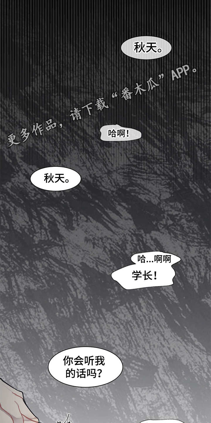 惹祸上身漫画,第19章：毒蛇4图