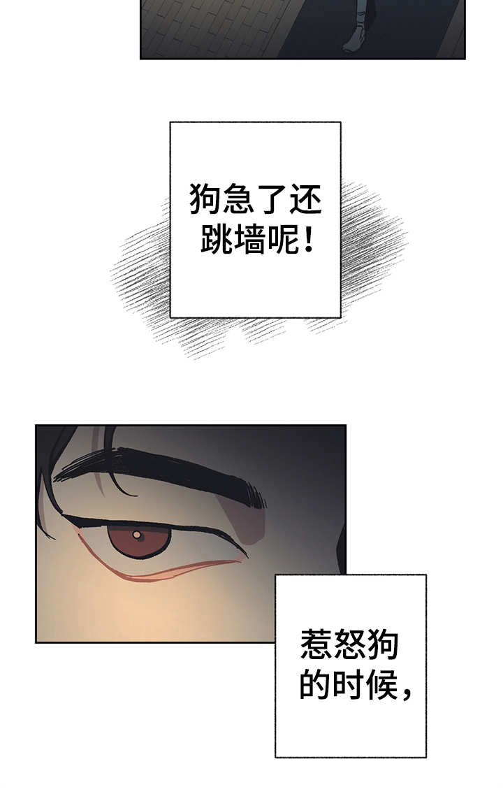 惹祸上身漫画,第18章：很好奇1图