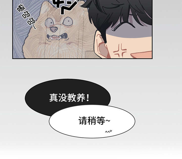 惹祸的豪车漫画,第3章：贷款4图