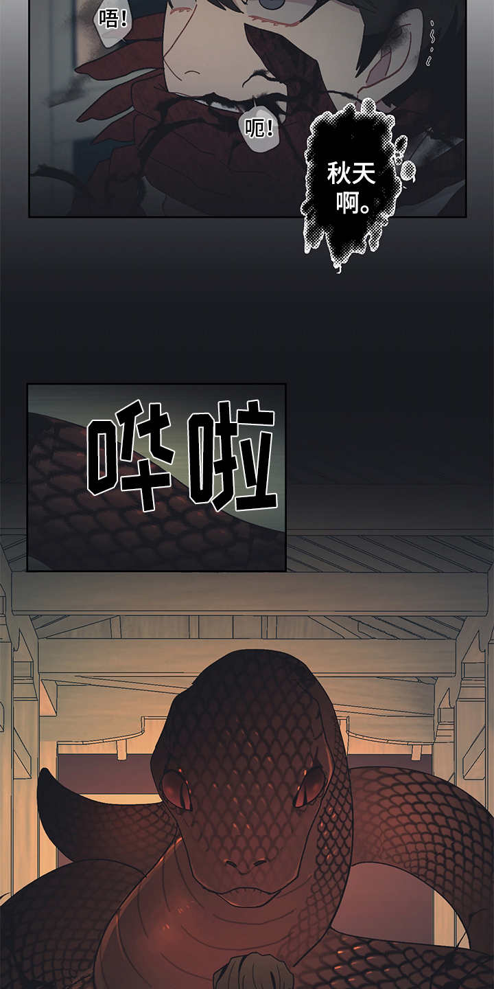 惹祸上身漫画,第50章：黑影5图