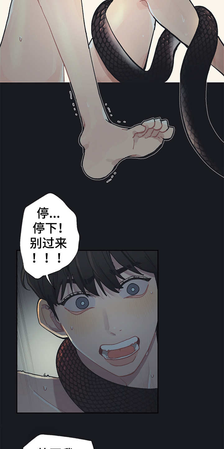 惹祸的豪车漫画,第19章：毒蛇2图