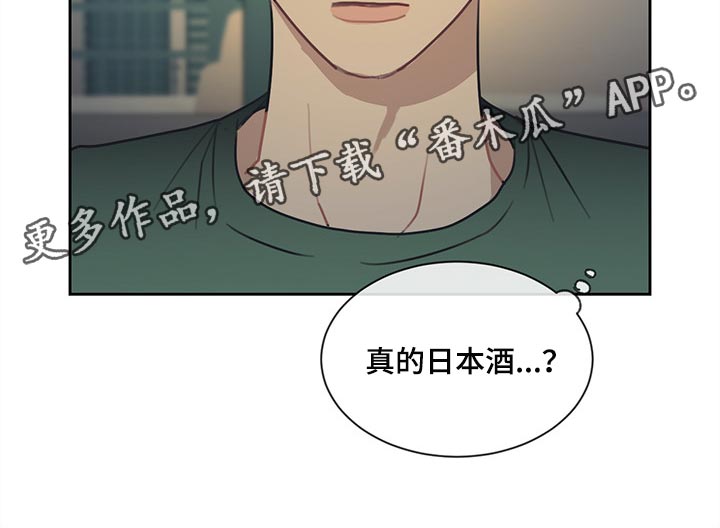 惹祸的近义词漫画,第82章：【番外】日本酒2图