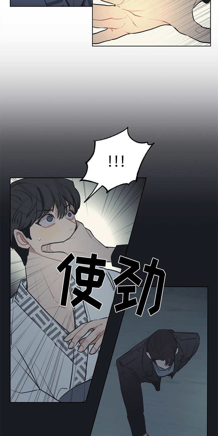 惹祸上身漫画,第52章：双胞胎3图