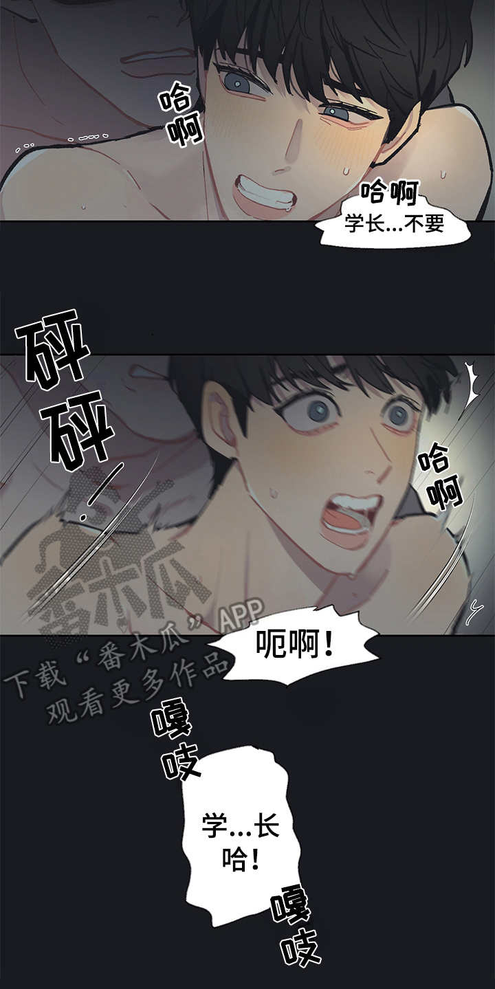 惹祸上身结局解析漫画,第19章：毒蛇1图