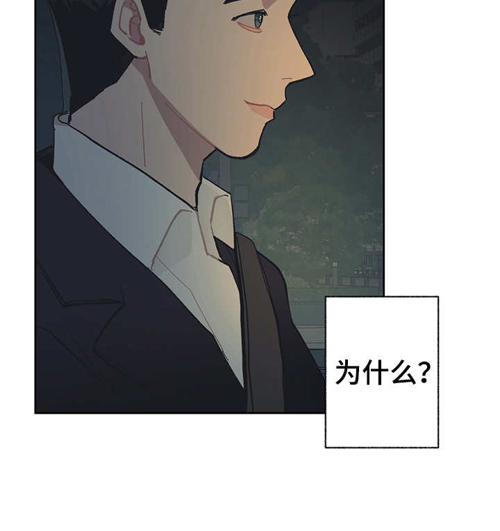 惹祸上身的我偿还3000万后续漫画,第23章：调查1图