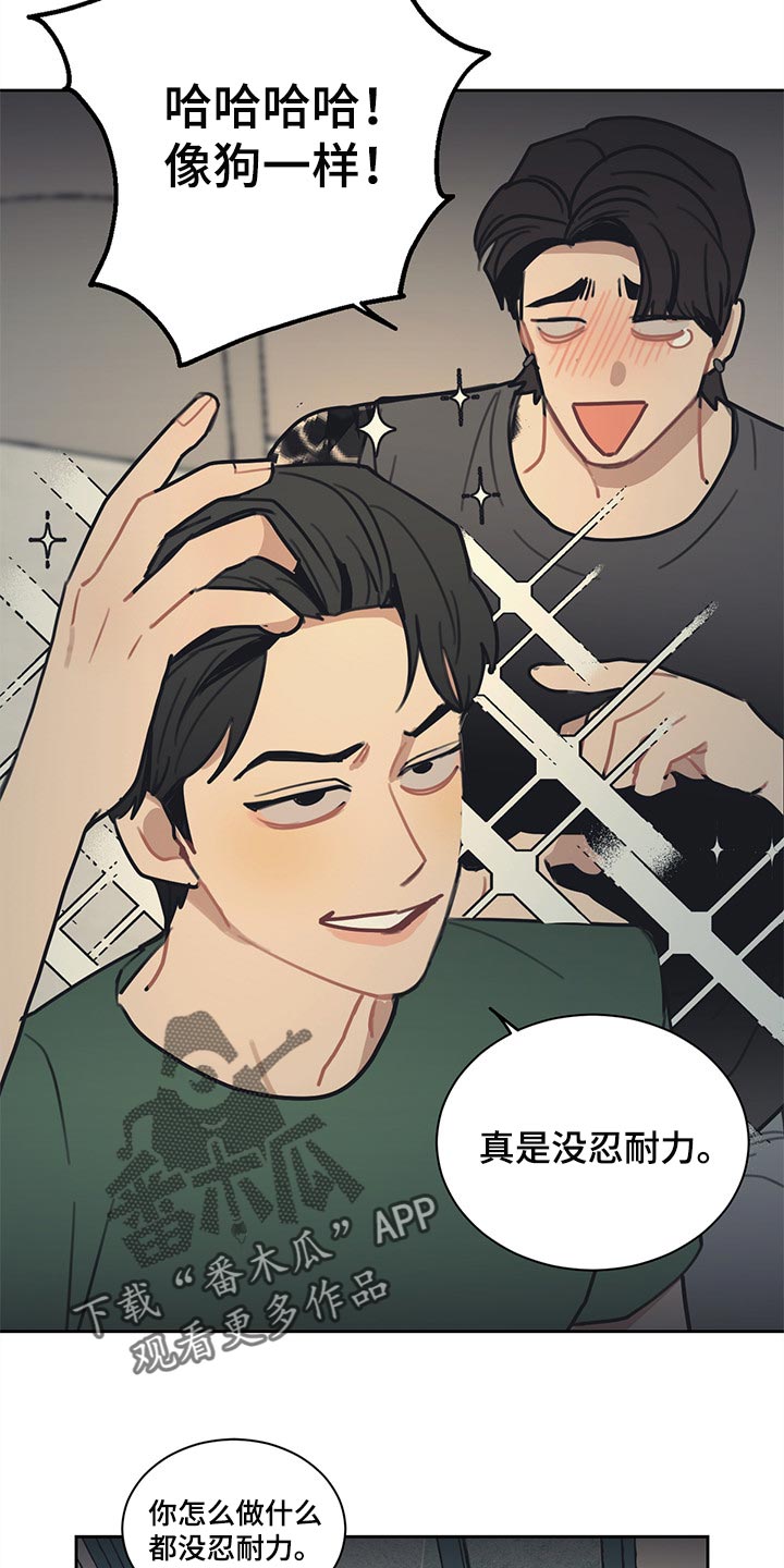 惹祸上身的我偿还3000万后续漫画,第83章：【番外】真正的爱情2图