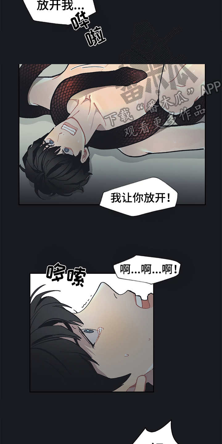 惹祸的豪车漫画,第19章：毒蛇3图
