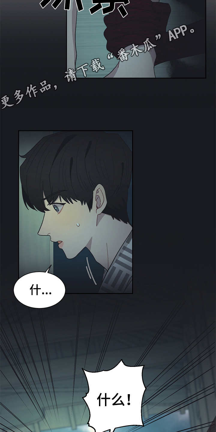 惹祸上身漫画,第50章：黑影5图