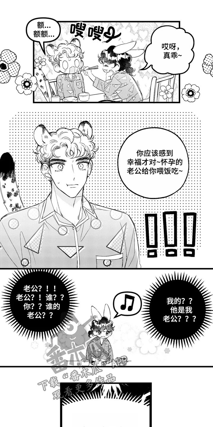 我怀孕了怎么办漫画,第11章：失忆1图