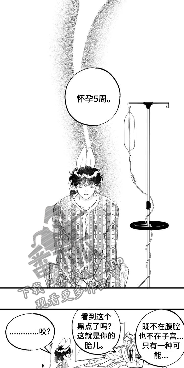 我怀孕了怎么办漫画,第5章：奇迹1图