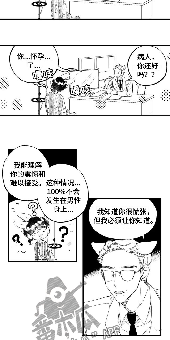 我怀孕了怎么办漫画,第5章：奇迹2图