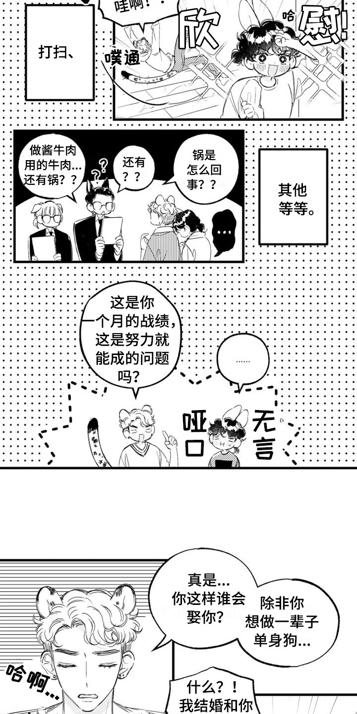 我怀孕了怎么办漫画,第7章：家务4图