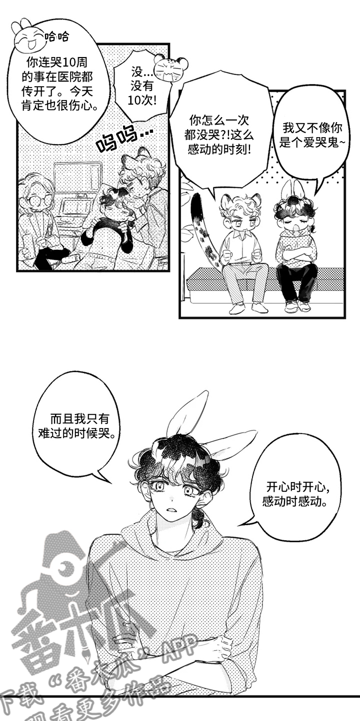 我怀孕了怎么办漫画,第33章：找妈妈3图