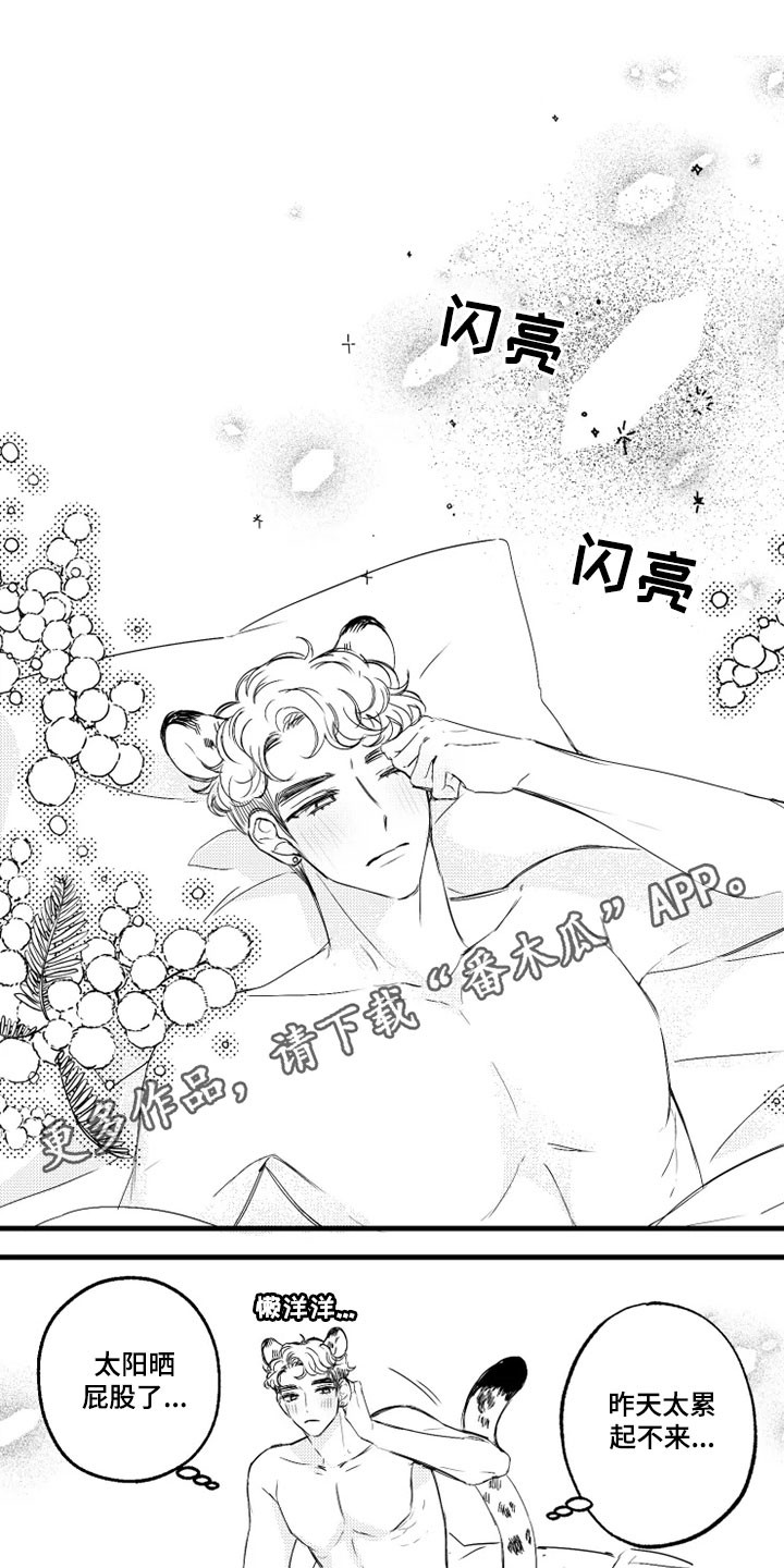 我怀孕了怎么办漫画,第11章：失忆1图