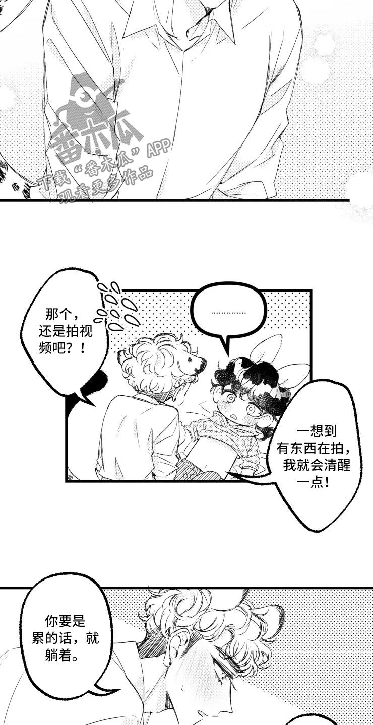 我怀孕了怎么办漫画,第48章：二胎2图