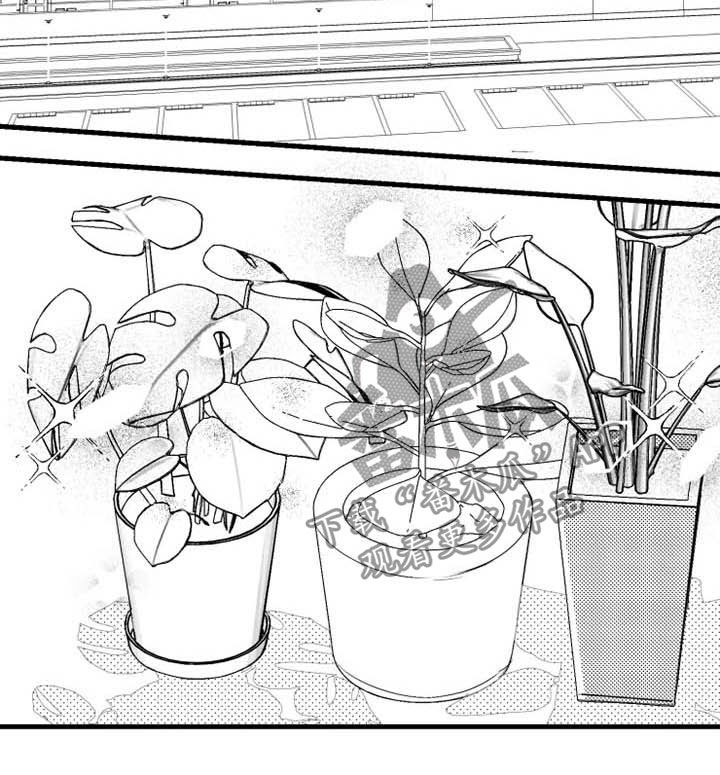 我怀孕了怎么办漫画,第37章：禁严令5图