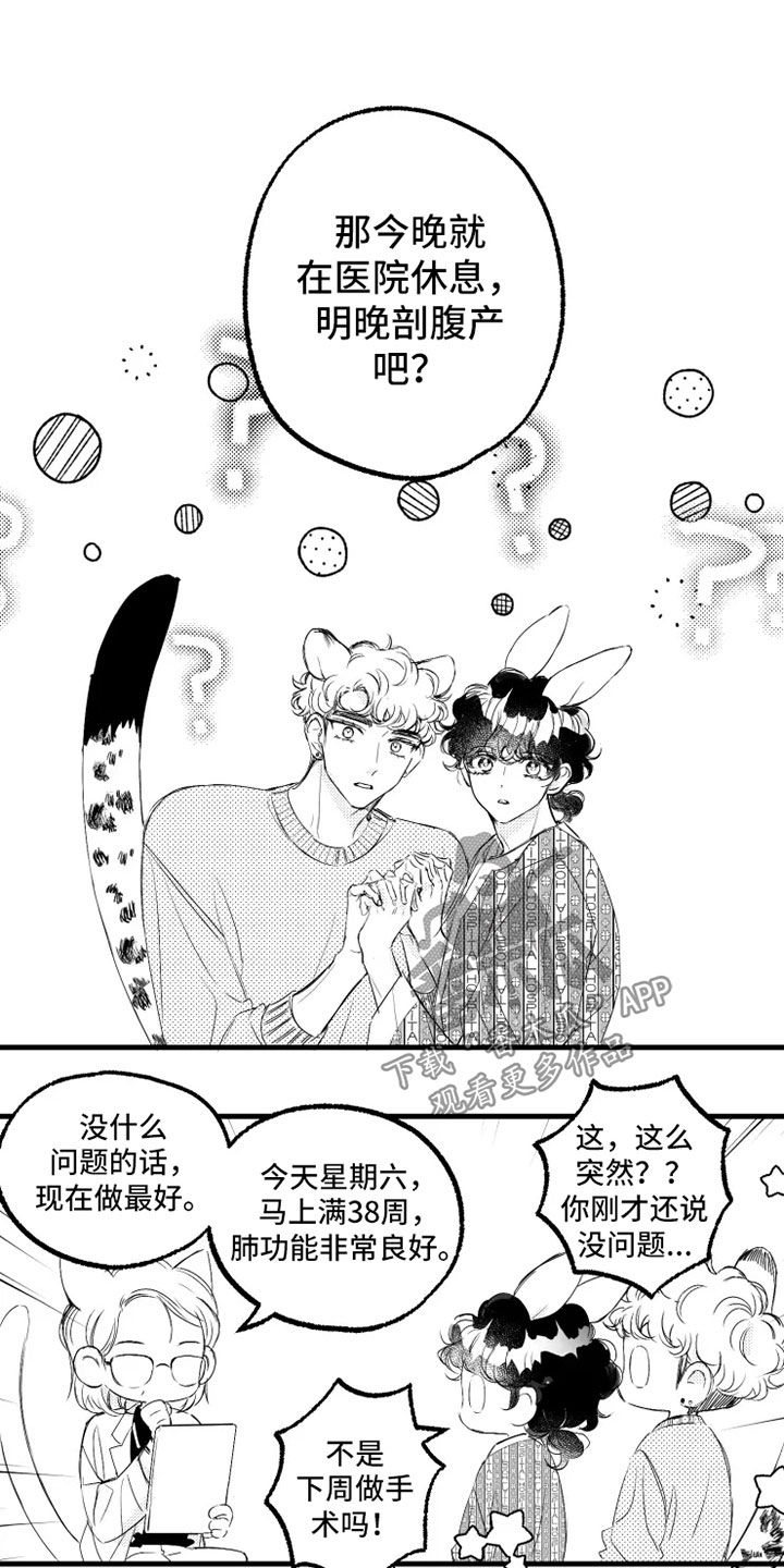 我怀孕了怎么办漫画,第57章：住院1图