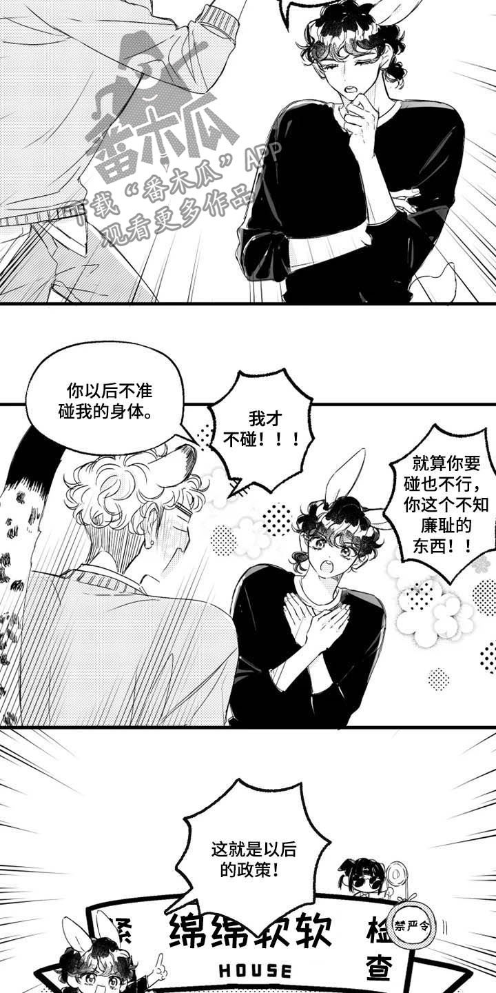 我怀孕了是什么梗漫画,第37章：禁严令3图