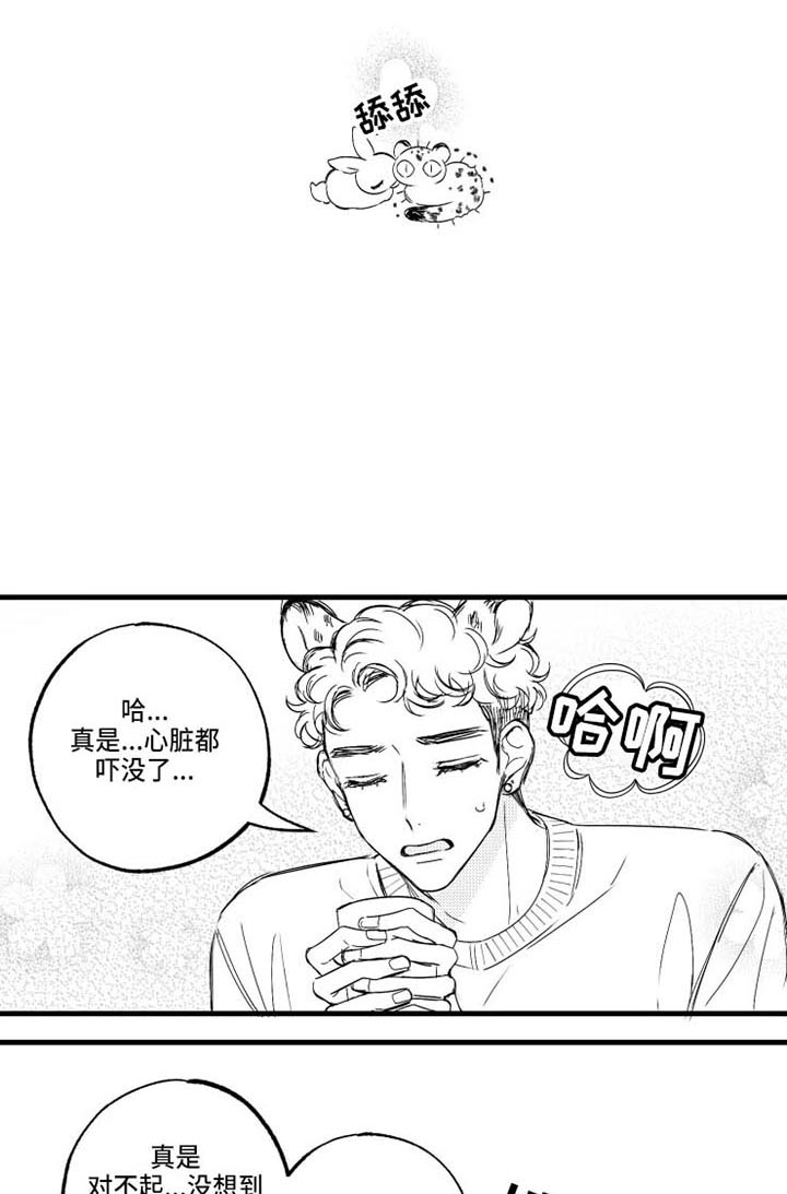 我怀孕了怎么办漫画,第16章：桌游1图