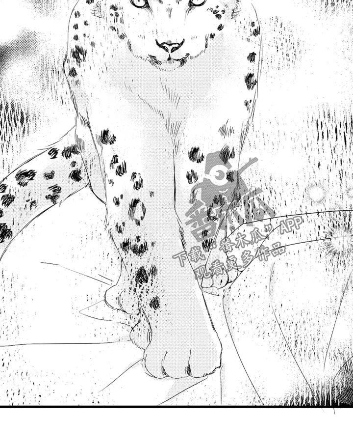 我已经怀孕怎么办漫画,第44章：原型3图