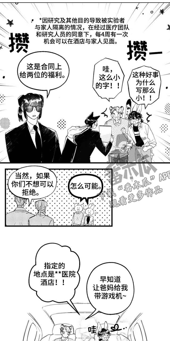 我怀孕了怎么办漫画,第9章：福利4图