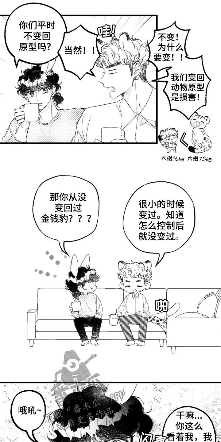 我怀孕了男方不管不问,法律怎么处理漫画,第43章：请求5图