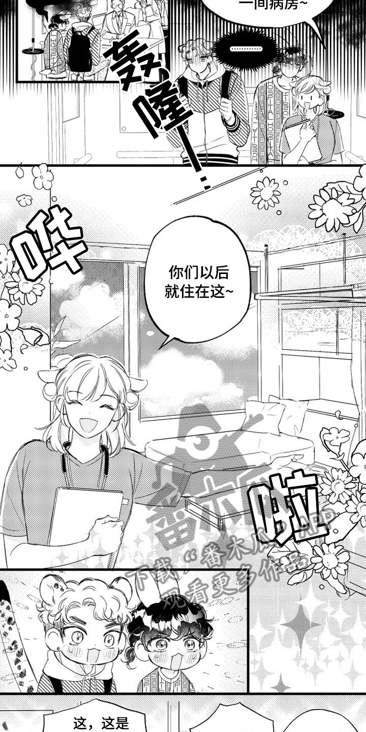 我怀孕了肚子疼要生了漫画,第5章：奇迹2图