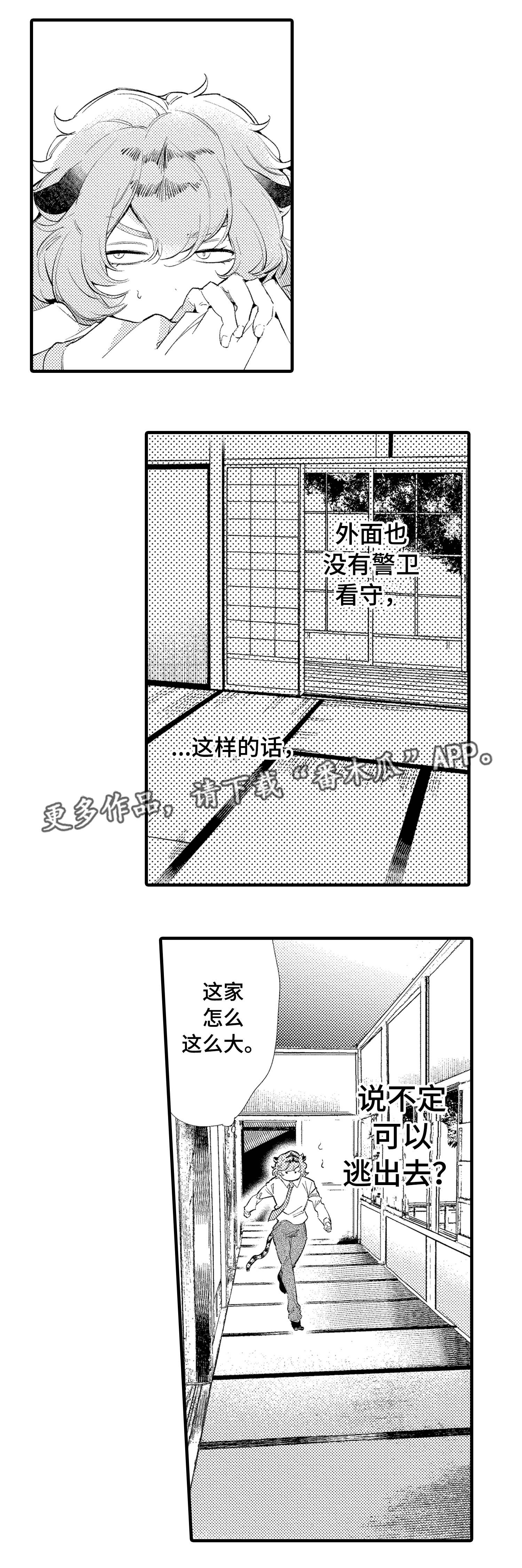 仙女见证人漫画,第15章：未婚妻4图