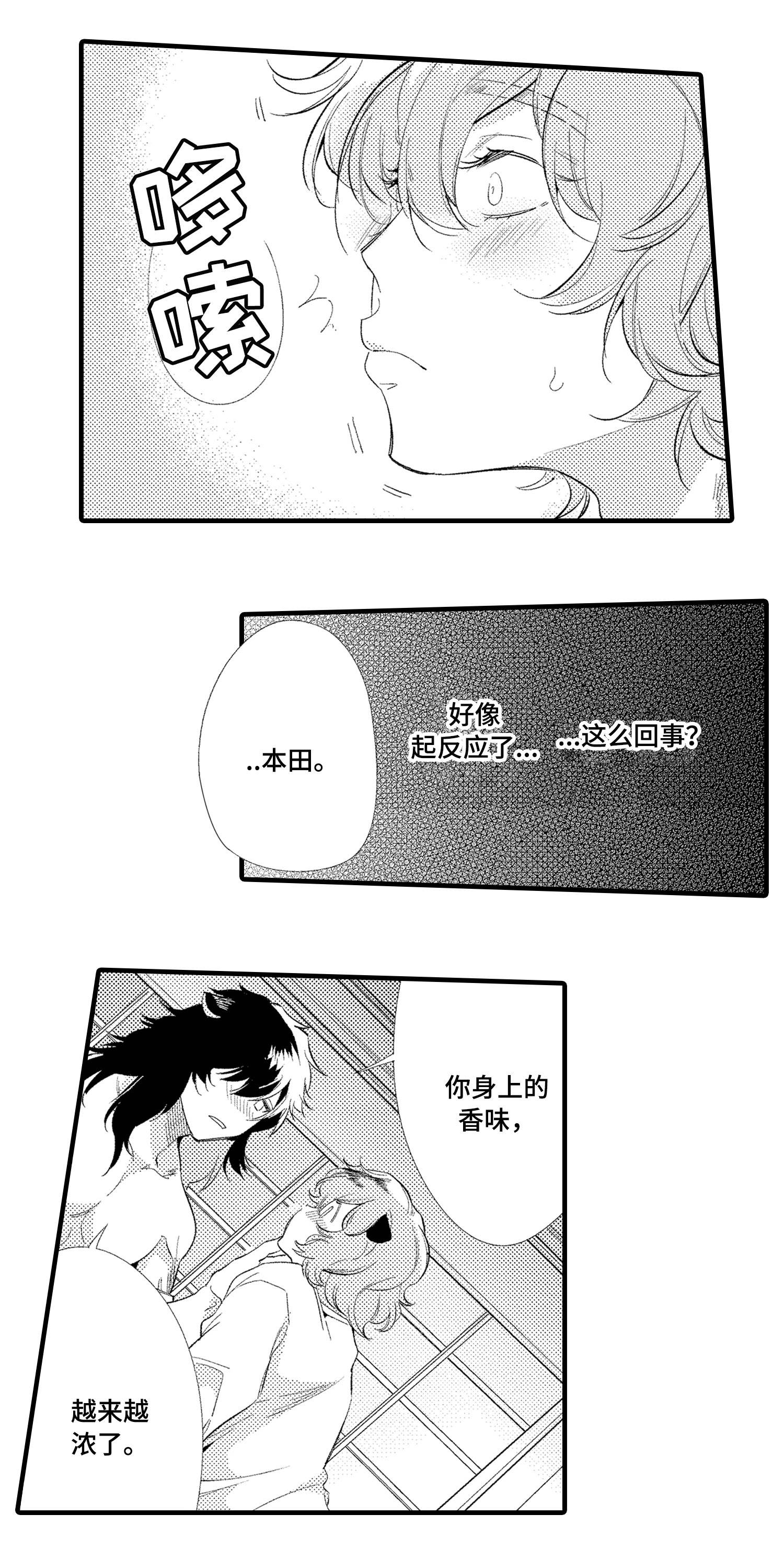 仙女见证人漫画,第11章：传闻2图