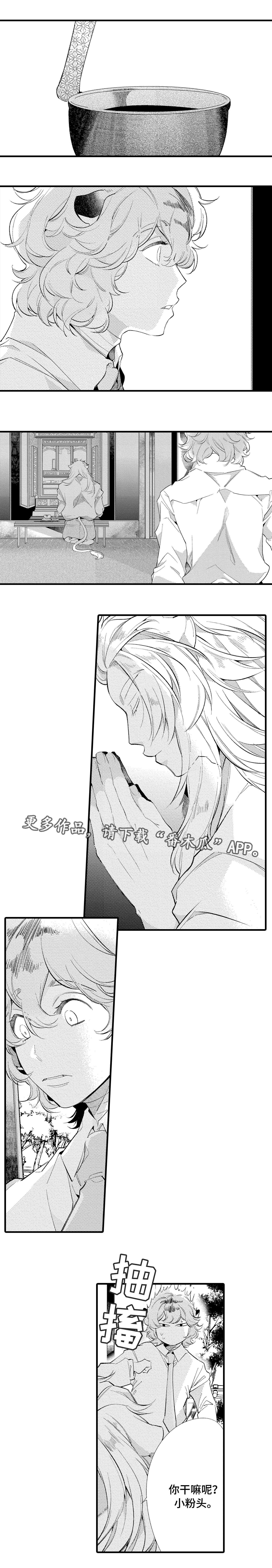 仙女见证人漫画,第15章：未婚妻5图