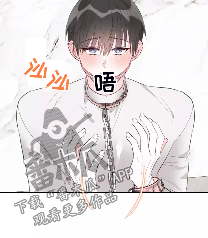 奇妙的偶遇漫画,第71章：风水轮流转4图