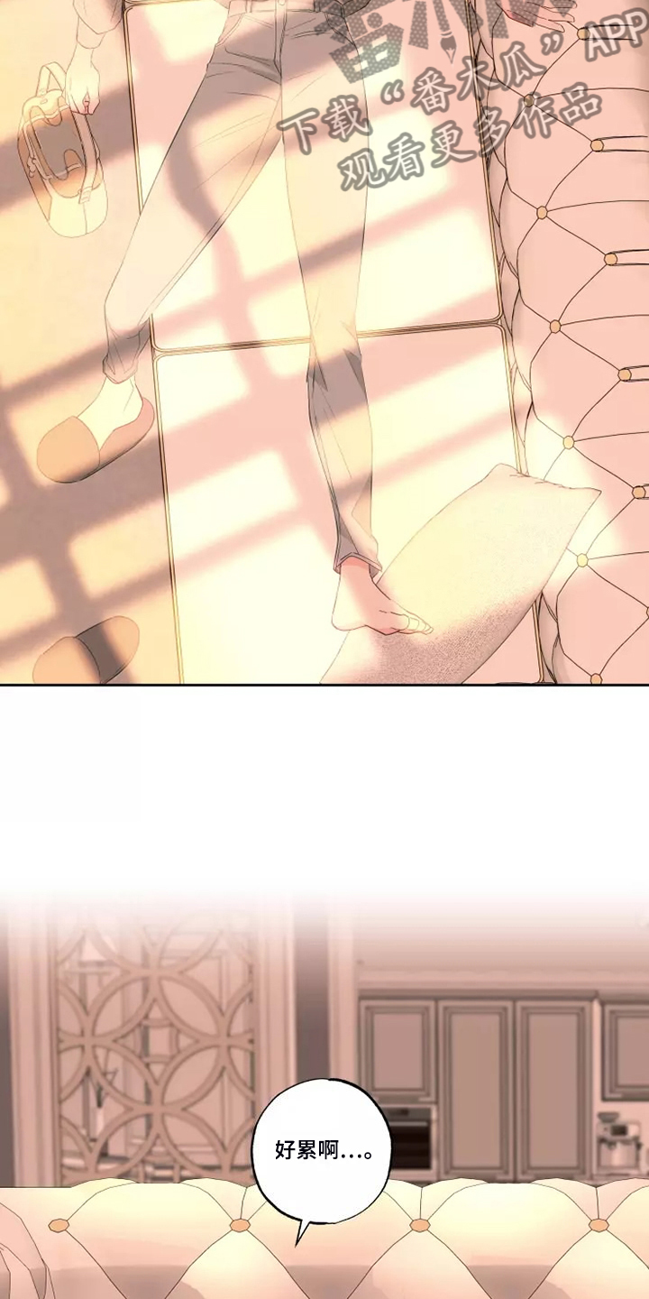 奇妙的数学文化读后感漫画,第73章：区别对待4图