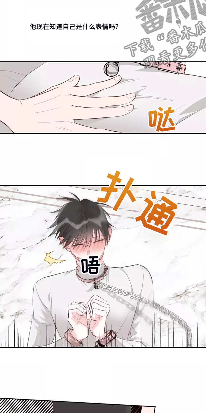 奇妙的偶遇漫画,第71章：风水轮流转1图