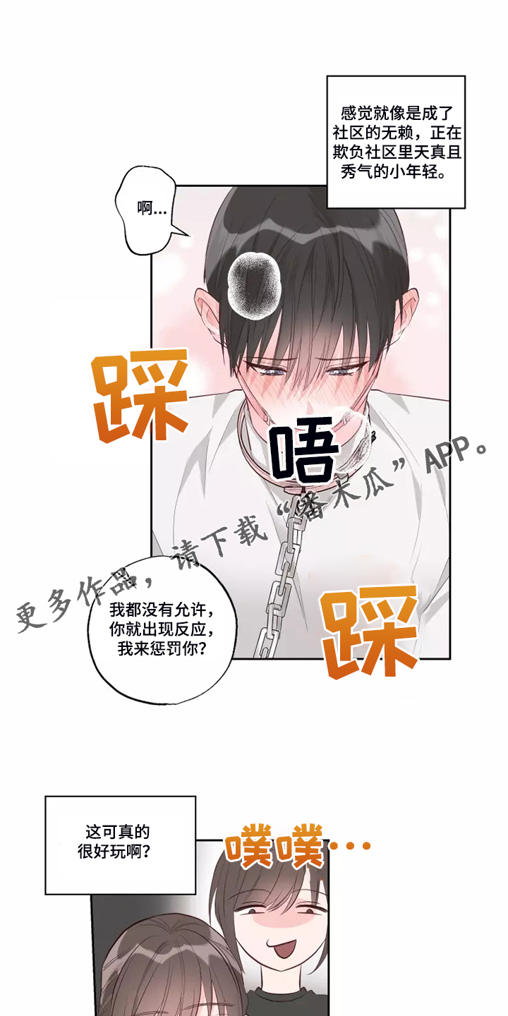 奇妙的数学文化读后感漫画,第70章：知道原因2图