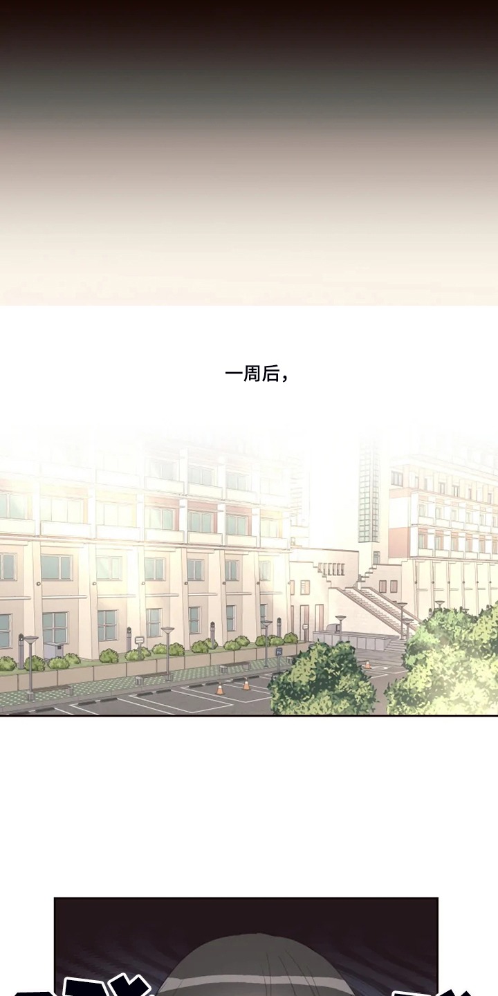 奇妙的时光之旅漫画,第48章：泡汤的旅行2图