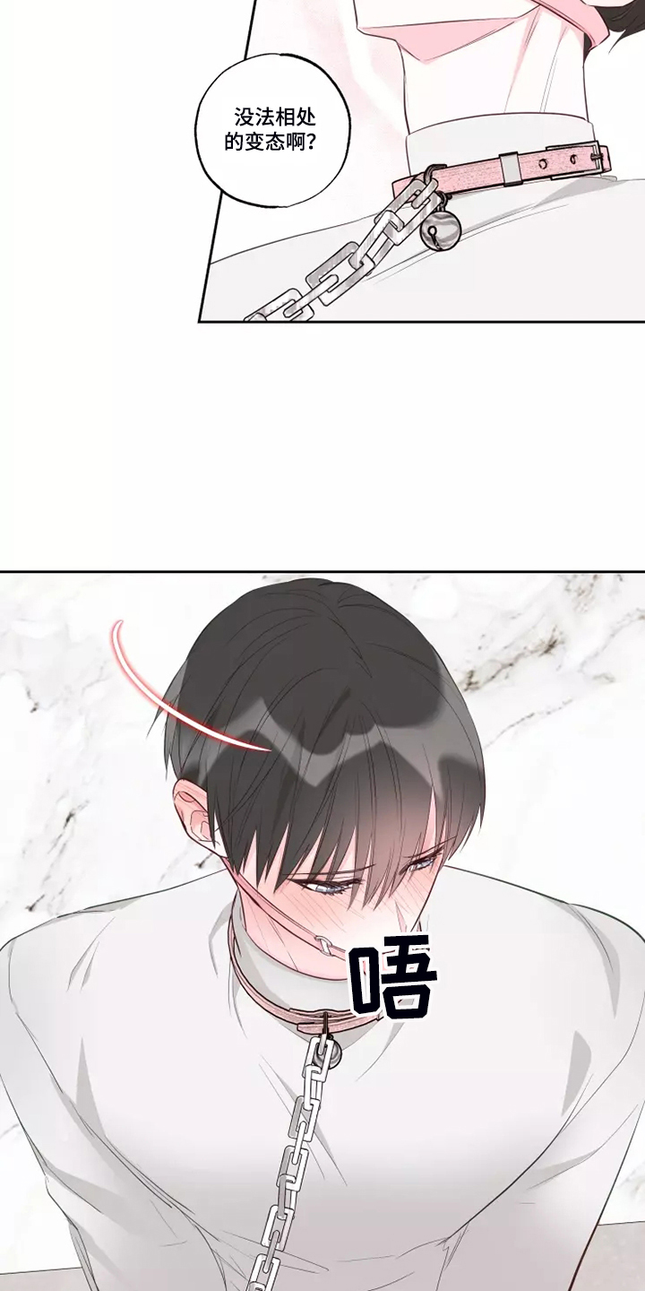 奇妙的数学文化读后感漫画,第70章：知道原因5图