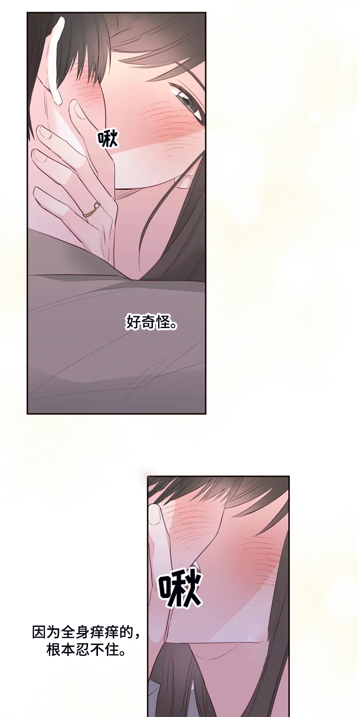 奇妙的数学文化读后感漫画,第62章：迷路了5图