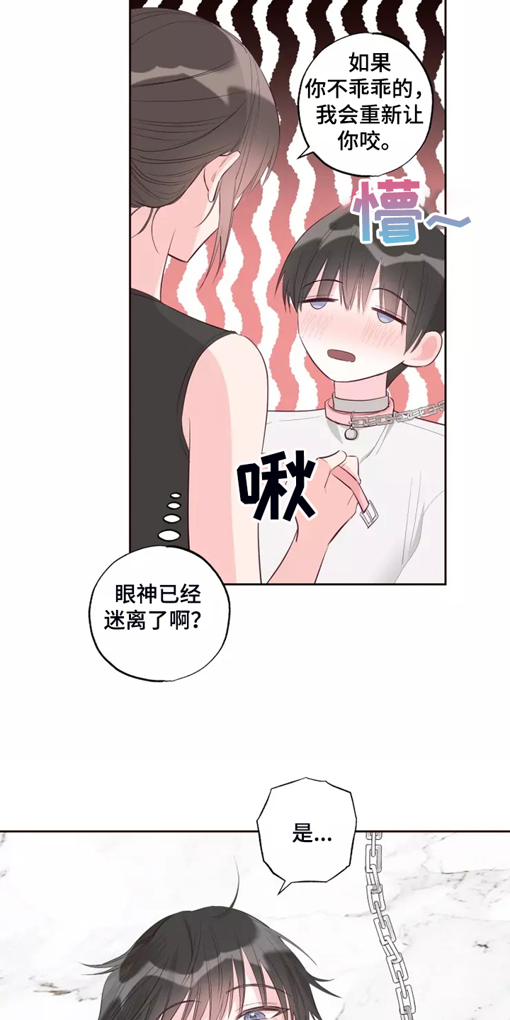 奇妙的偶遇漫画,第72章：忘了的人5图