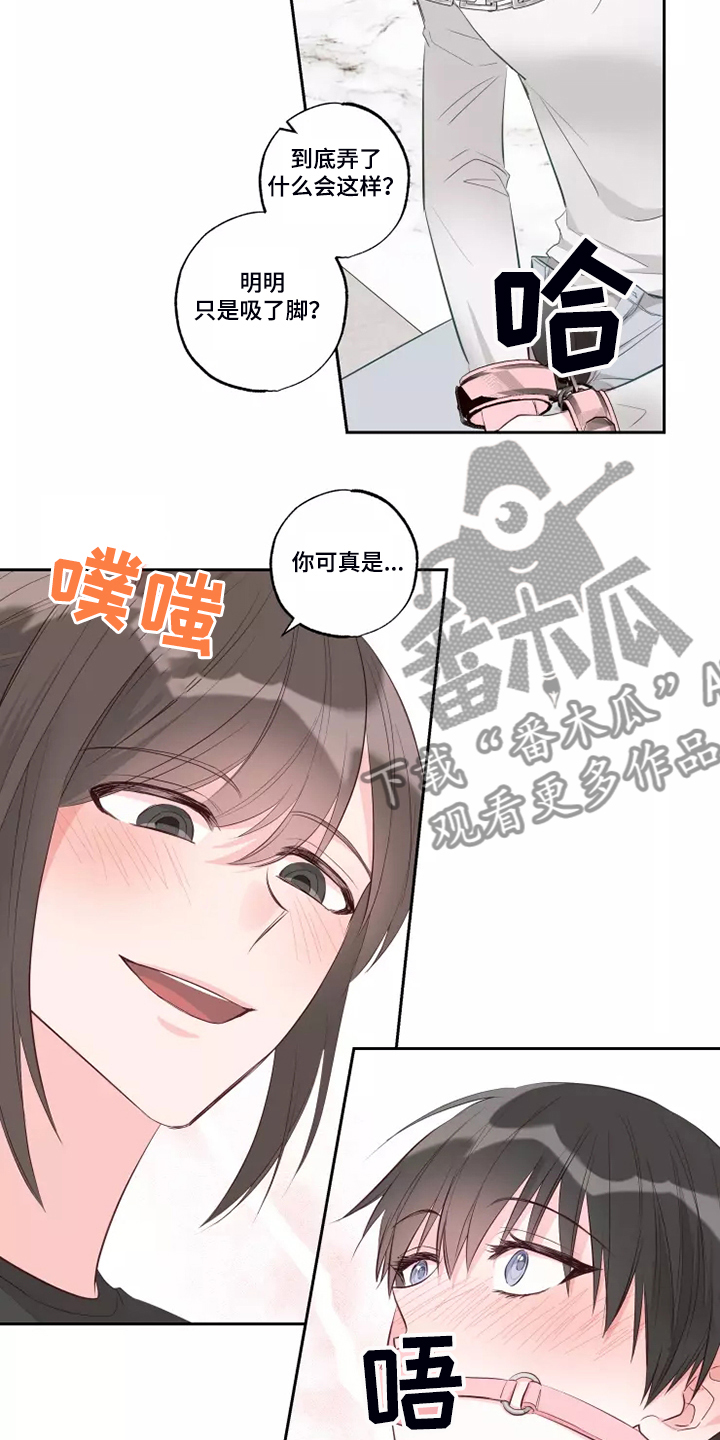 奇妙的数学文化读后感漫画,第70章：知道原因4图