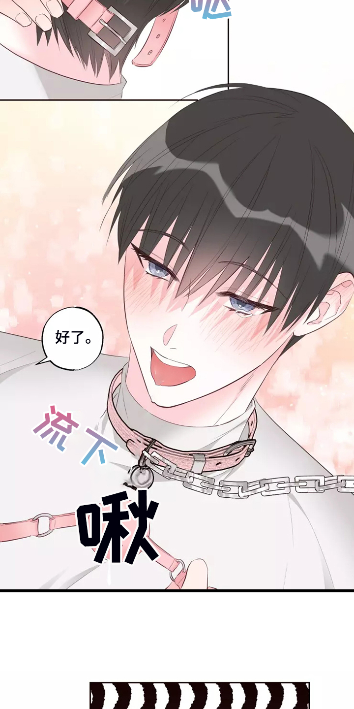 奇妙的偶遇漫画,第72章：忘了的人4图