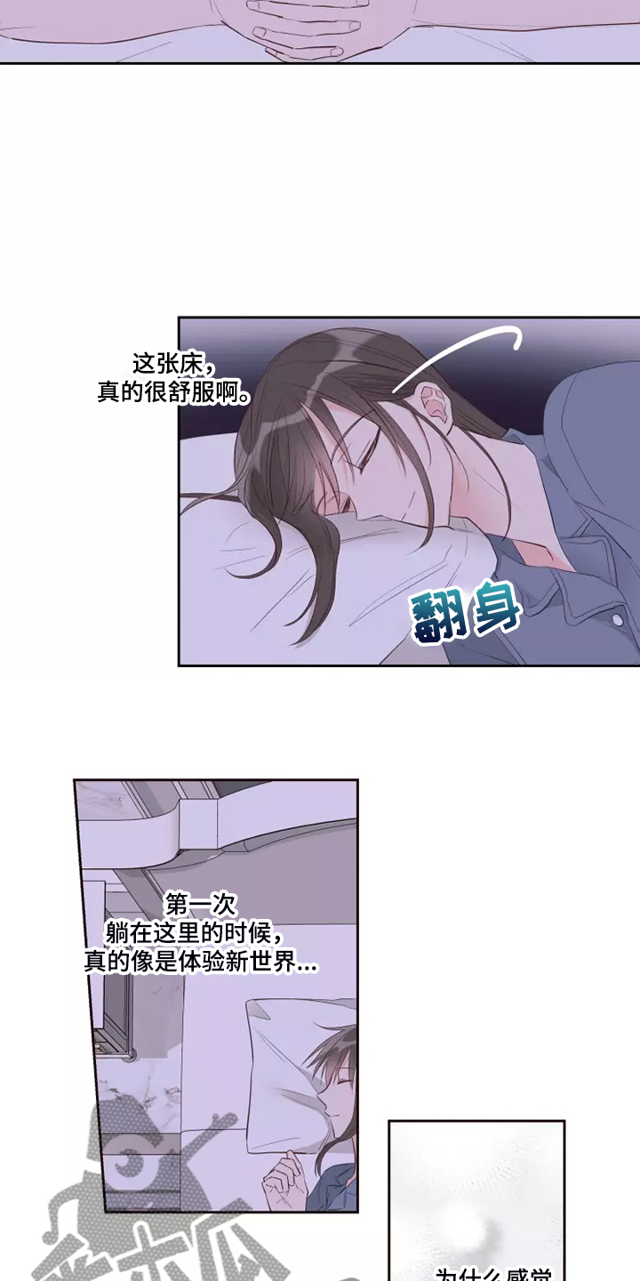 奇妙的数学文化读后感漫画,第67章：那就同归于尽吧2图
