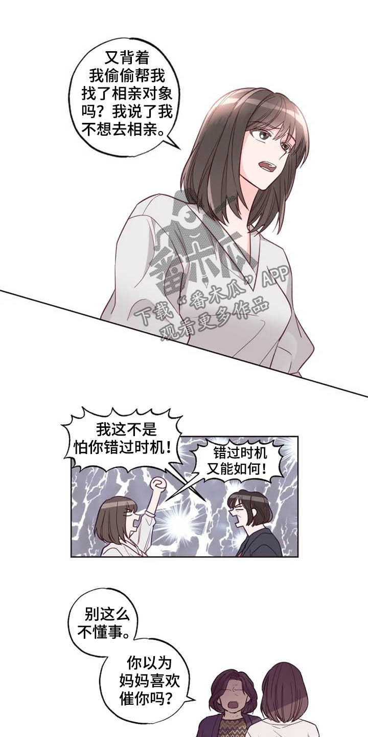 奇妙的数学文化读后感漫画,第27章：催婚3图