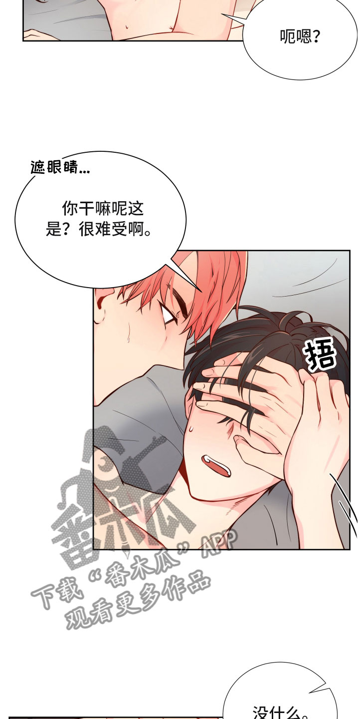 禁止恋爱对象漫画,第15章：保持一致1图