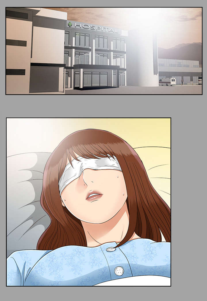 泰山的遗产漫画,第57章：后遗症2图