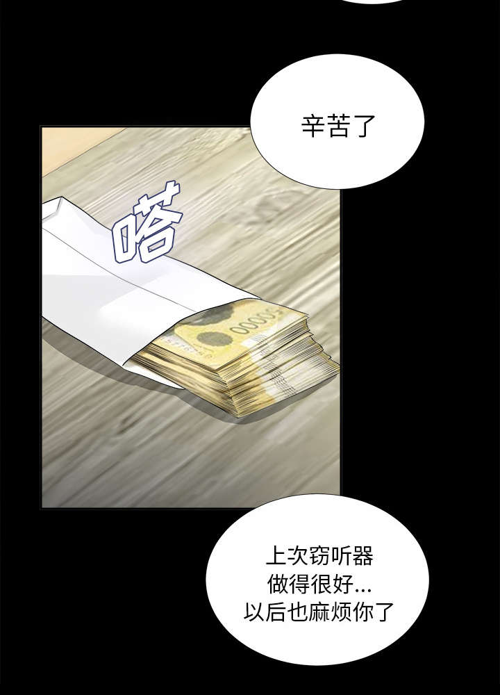 泰山的遗产漫画,第24章：双面间谍5图