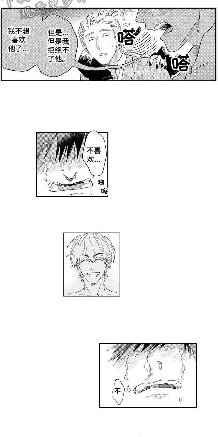 隐瞒婚姻欺骗感情属于犯罪吗漫画,第6章：酒后吐真言5图