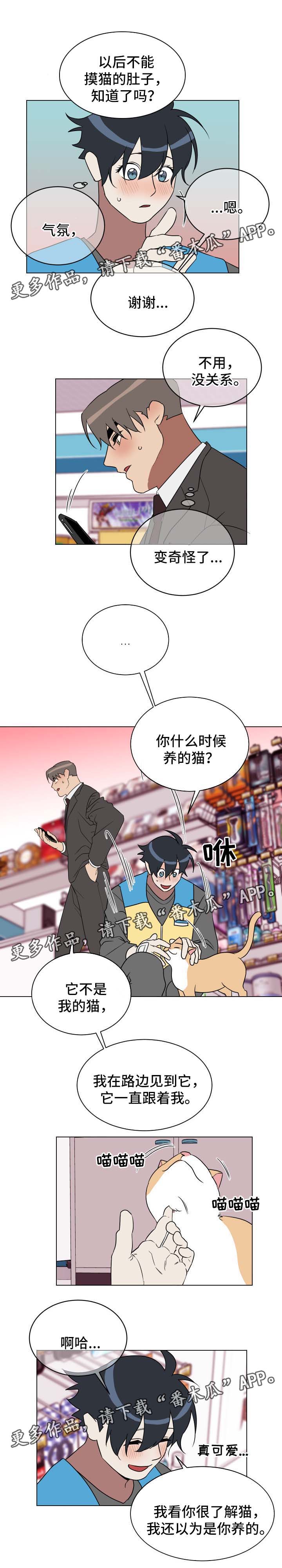 年下策略漫画,第31章：有意思1图