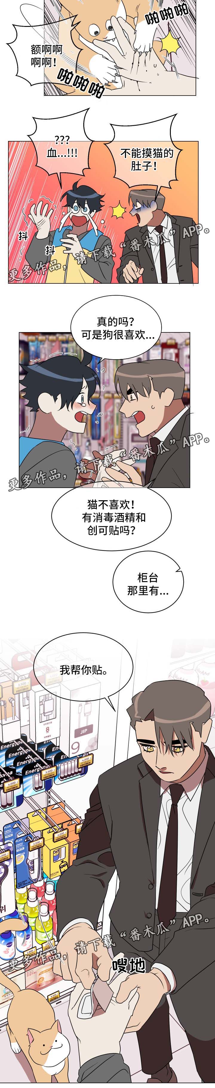 年下策略漫画,第30章：喂猫1图
